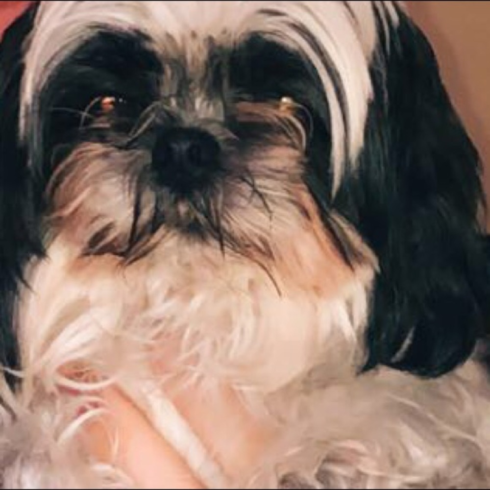 Meet your Posher, Grace